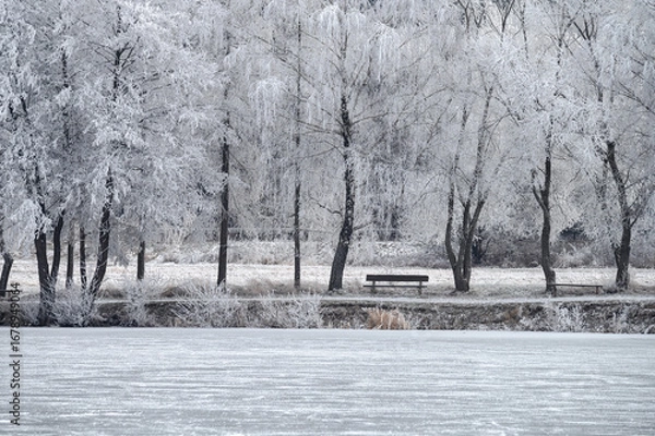 Fototapeta A peaceful frozen pond reflects the warm glow of the Christmas sun through a frosty mist