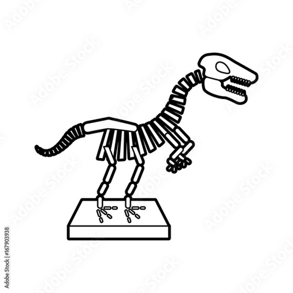 Fototapeta Museum dinosaur skeleton icon vector illustration design