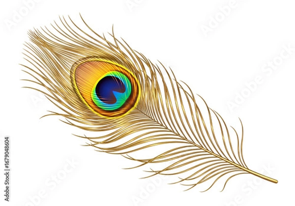 Fototapeta A detailed, golden peacock feather displays vibrant colors on a striking black background.