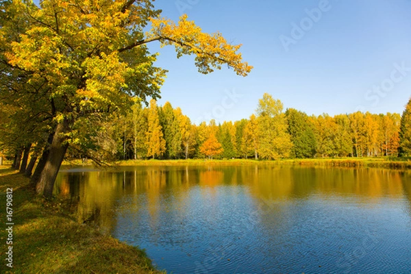 Obraz autumn landscape