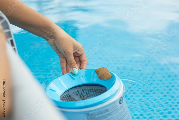 Fototapeta Woman cleaning pool skimmer basket with leaves floating in swimming pool