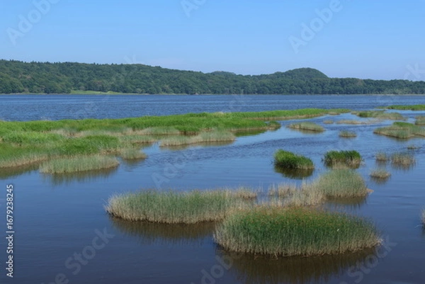 Obraz 別寒辺牛湿原