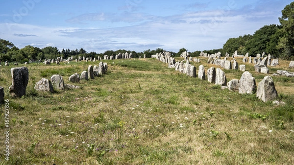 Obraz Menhirs, Carnac.