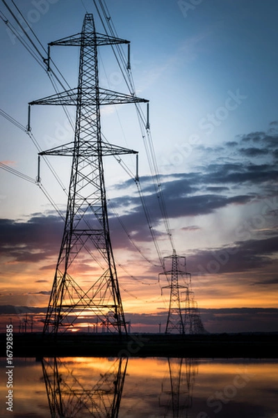 Fototapeta Electricity pylons disappear over horizon on marshland at sunset