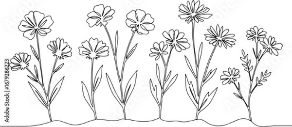 Fototapeta Elegant continuous line drawing of whimsical wildflowers in a mi
