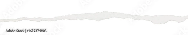 Fototapeta torn or ripped paper texture divider isolated on white or transparent png