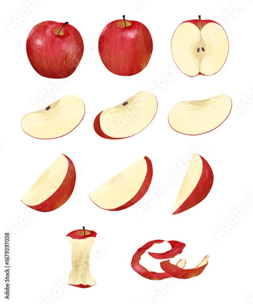 Obraz A Set of Red Apple Illustrations, Including Whole, Slices, and a Core