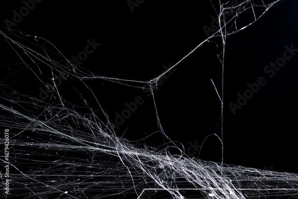 Fototapeta Halloween Spider Web,Creepy white cobweb on a dark background. space for text