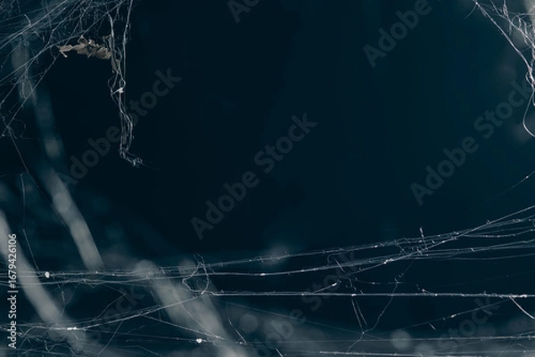 Fototapeta Halloween Spider Web,Creepy white cobweb on a dark background. space for text