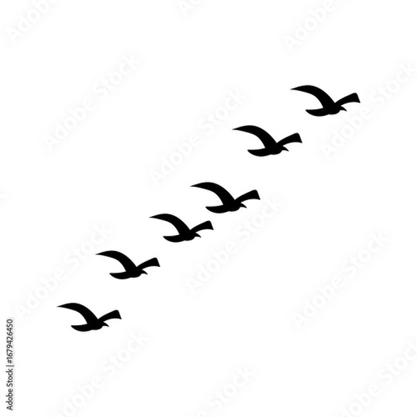 Fototapeta Geese flock flying birds silhouettes vector, autumn triangle formation in sky, postcard illustration, monochrome greeting card isolated background."