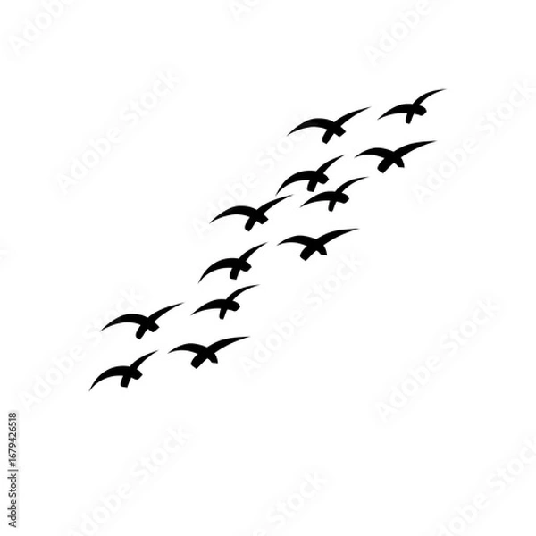 Fototapeta Flock of birds flying vector silhouettes, geese in triangle design, monochrome postcard illustration, greeting card invitation white background.