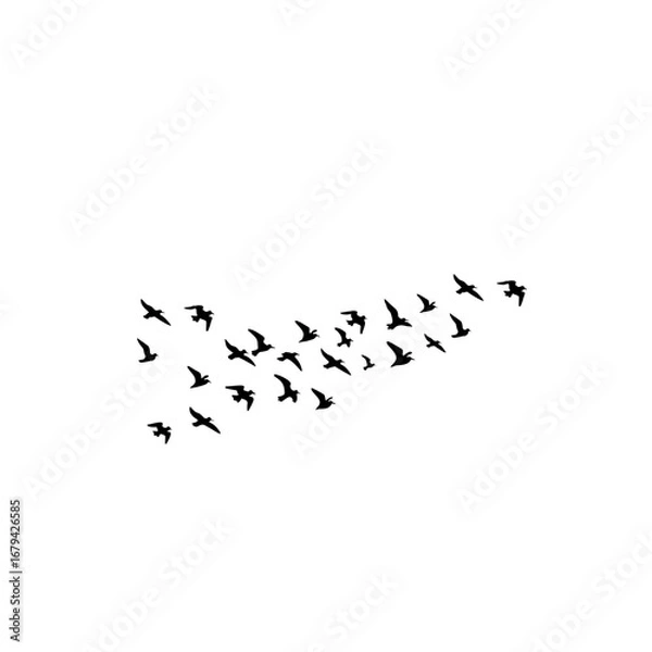 Fototapeta "Birds in sky flock silhouettes vector, geese triangle formation, greeting card postcard illustration, monochrome isolated design white background."