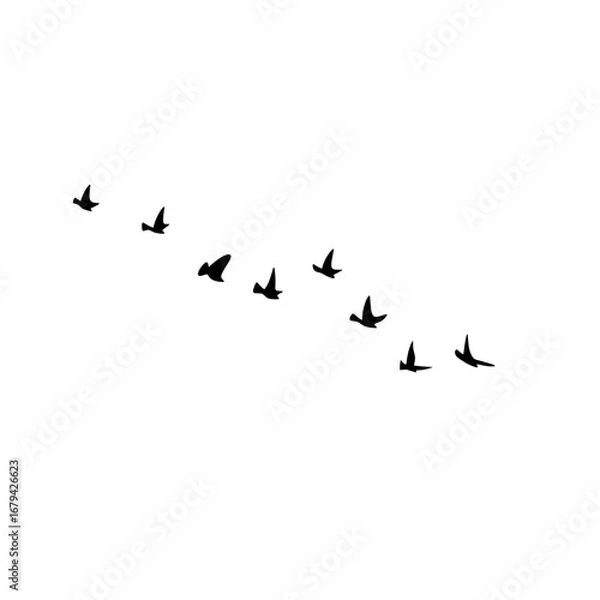 Fototapeta Birds flock flying illustration vector, geese silhouettes autumn triangle, monochrome greeting design, postcard invitation card isolated white background.