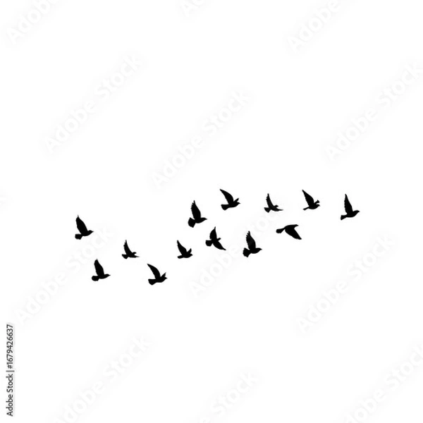 Fototapeta "Vector birds flock flying in sky, geese silhouettes triangle design, postcard greeting illustration, monochrome invitation on white background."