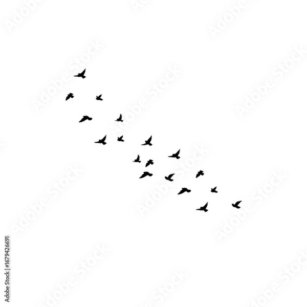 Fototapeta "Flying flock of birds silhouettes vector, geese in autumn triangle formation, postcard greeting card, monochrome illustration white background."