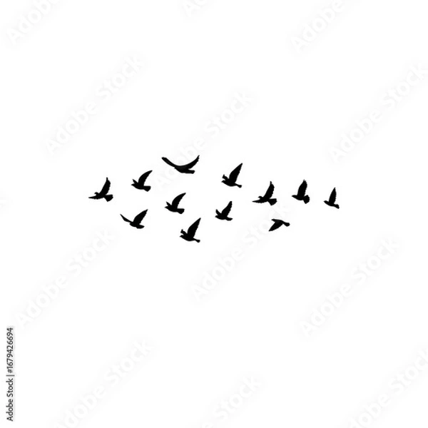 Fototapeta Vector flock of flying birds silhouettes, geese in triangle formation, monochrome postcard greeting card design, autumn illustration isolated.