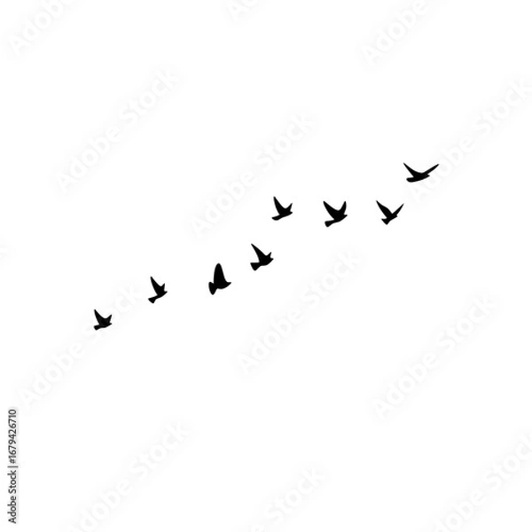 Fototapeta "Flock of geese flying vector silhouettes, birds triangle in sky, postcard illustration greeting card monochrome isolated white background."
