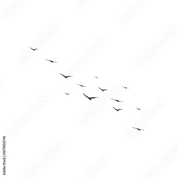 Fototapeta "Vector flock of birds flying, geese silhouettes triangle, postcard invitation greeting card, monochrome illustration design on white background."