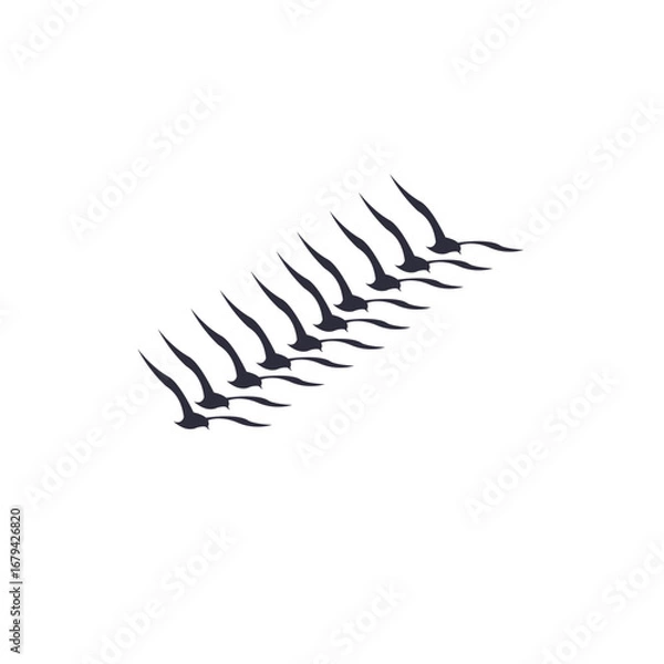 Fototapeta "Birds flying in flock vector, geese silhouettes triangle, postcard greeting monochrome invitation, white background isolated artistic illustration."