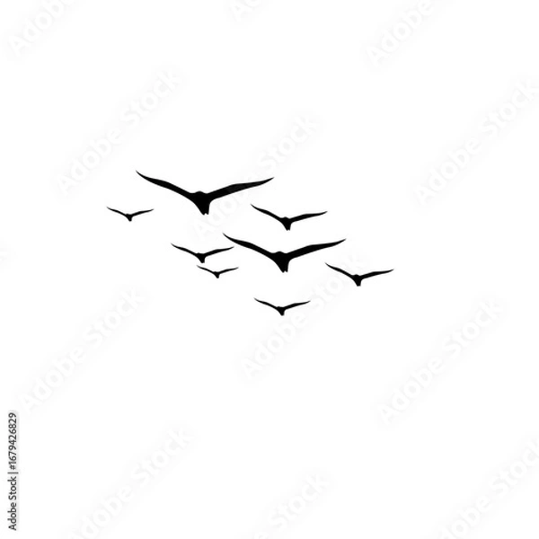 Fototapeta "Flying birds flock vector illustration, geese silhouettes in autumn triangle, monochrome postcard greeting design, invitation on white background."