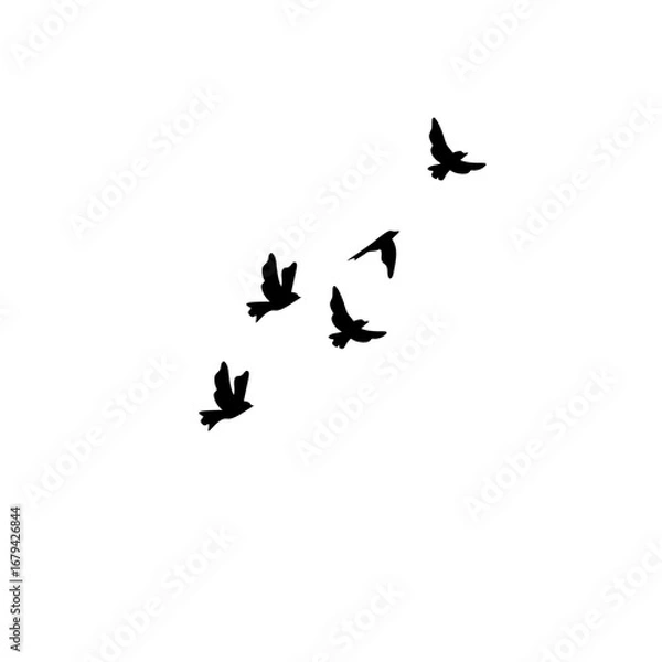 Fototapeta "Silhouettes of flying birds flock, geese in triangle formation, vector illustration postcard greeting card, monochrome white background design."