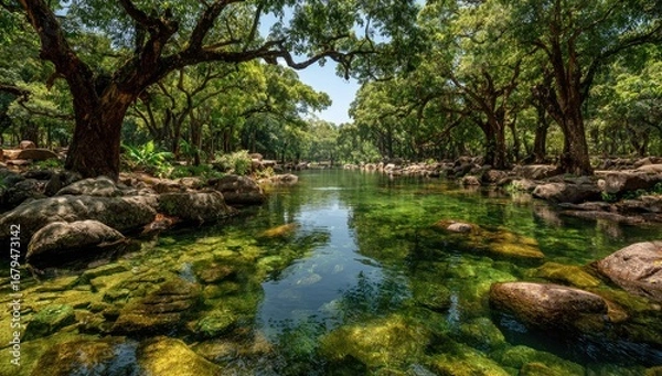 Fototapeta Tranquil emerald pool nestled beneath lush green canopy