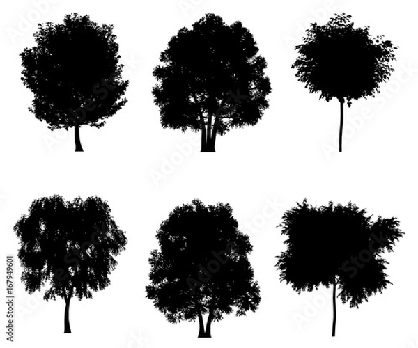Obraz Tree silhouettes set for architectural compositions with backgrounds. Vector illustration