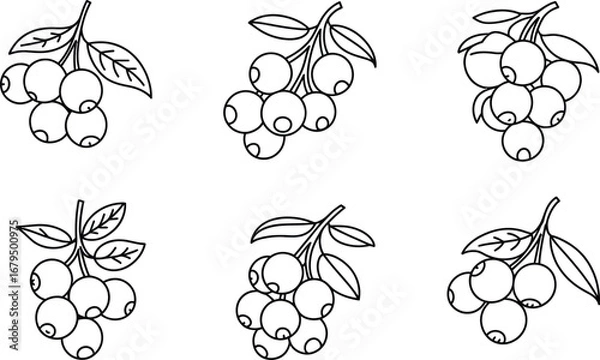 Obraz Hand drawn blueberry branches with leaves in sketch style