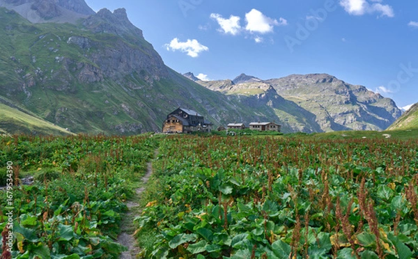 Fototapeta Mountain landscape with a refuge in Gran Paradiso national Park in Italy. Destination for winter and summer mountain climbers, skiers and mountain lovers. Dense green vegetation all around.