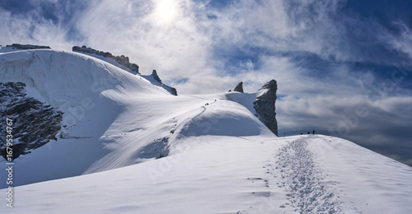 Fototapeta Gran Paradiso National Park, Italy. Climbers on the way to the summit of the mount Gran Paradiso from the Refuge Victor-Emmanuel II. A lot of snow covered a glacier. Sunny chilly day.