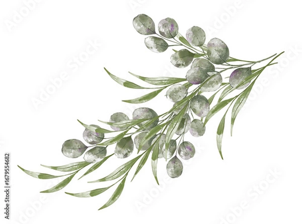 Obraz Watercolor greenery frame isolated on white background. Botanical hand painting illustration for wedding invitation, greeting card end eco design