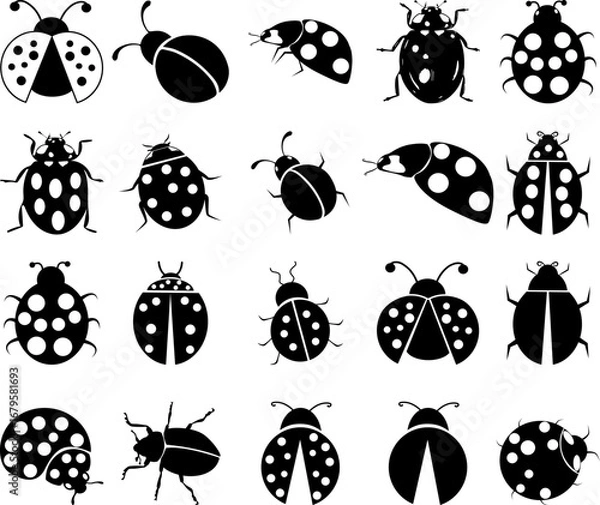 Fototapeta Ladybug EPS, Vector Images Black and White 