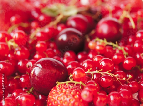 Fototapeta red fruits