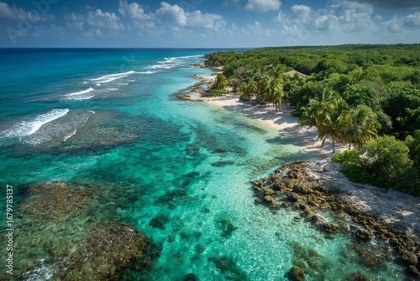 Fototapeta Aerial view of tropical coastline with turquoise ocean and lush forest /  Drone shot of clear blue sea waves crashing on sandy beach