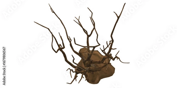 Fototapeta 3D Render bare Tree isolated on a Transparent Background