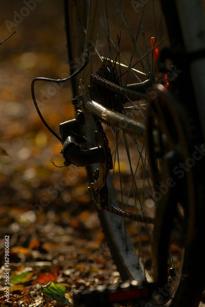 Fototapeta A detailed view of a bicycle's rear wheel amidst colorful autumn leaves, capturing the essence of fall and outdoor adventure.