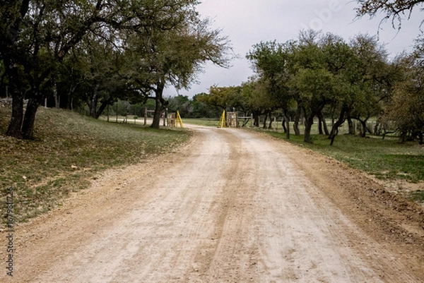 Obraz Dirt Road Through Tree Lined Property 
