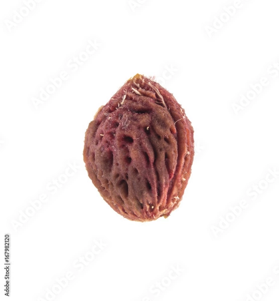 Obraz Kamień brzoskwini na białym tle