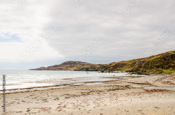 Fototapeta Sandy bay on the Isle of Mull with rolling hills and rocky headlands under a cloudy sky. A wild and scenic Scottish beach landscape.
