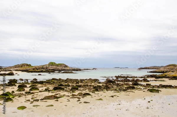 Fototapeta Low tide beach on the Isle of Mull with seaweed-covered rocks and sandy stretches. Rugged and natural Scottish coastline under cloudy skies.