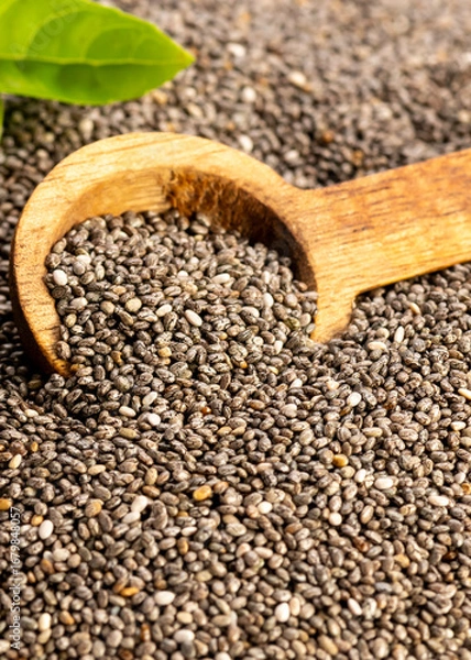 Obraz  Salvia hispanica seeds