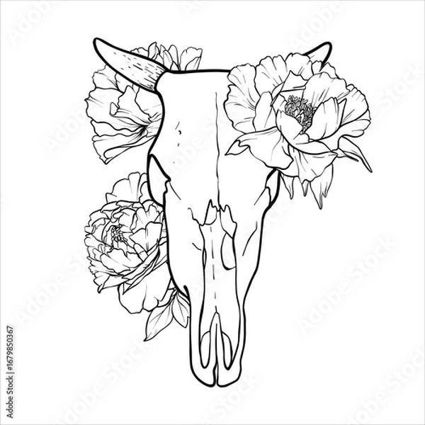 Obraz Bull Skull in the flowers. Hand drawn black and white vector illustration of a bull skull with horns. Skeleton and Peonies in line art style. Graphics outline element bones and flowers. EPS10