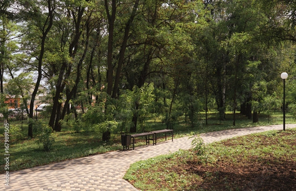 Obraz New paths in the summer green park. Biryuch, Belgorod Region, Russia