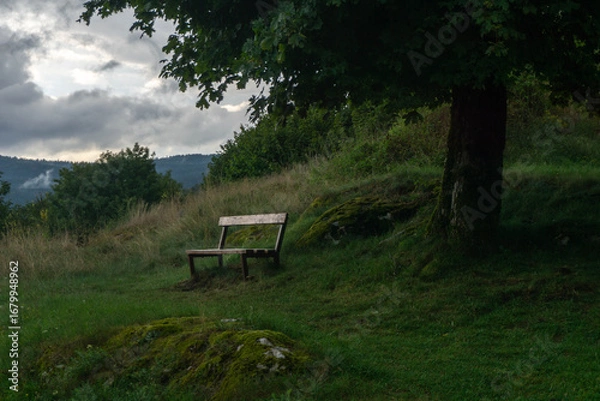 Fototapeta Solitary bench under a tree in the Croatian mountains
