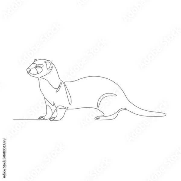 Obraz Gray Ferret Continuous Line Drawing Illustration