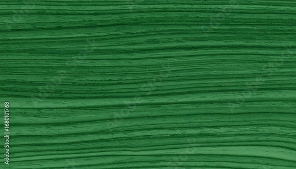 Obraz Deep forest green wood grain texture