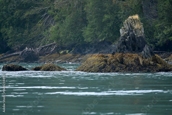 Fototapeta Seaside landscape in Alaska's Resurrection Bay near Seward.