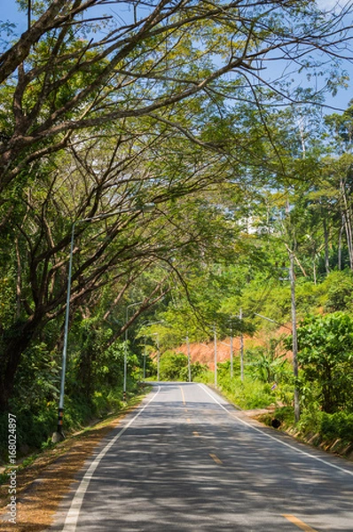 Fototapeta Curve of the road