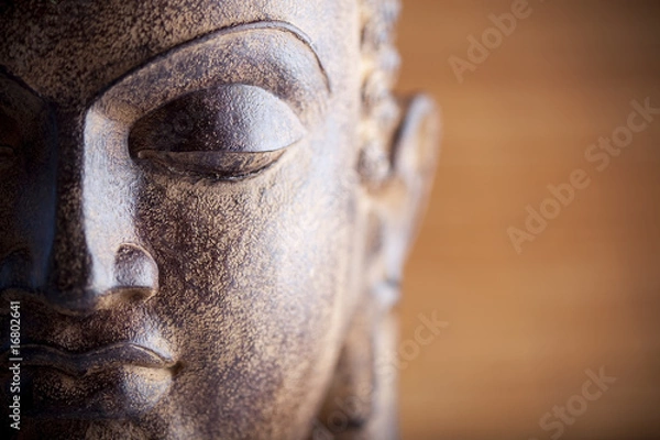 Obraz Statua Buddy