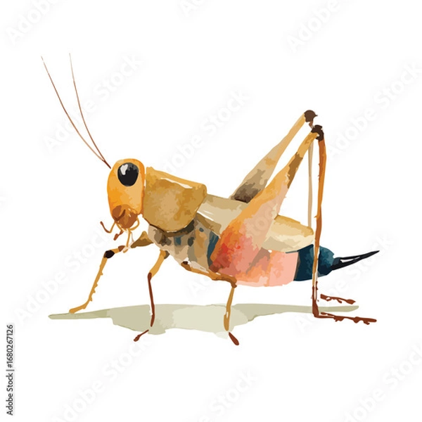 Fototapeta Watercolor style grasshopper with long antennae and detailed legs side view